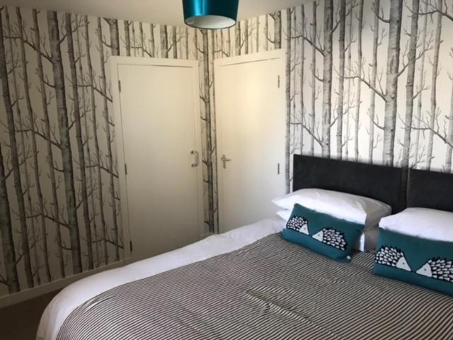 Thurso Self Catering Pet Friendly Holiday Lets エクステリア 写真